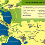 Der Mulderadweg zwischen Bad Düben und der Goitzsche