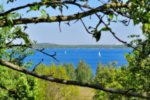 Cospudener See - Blick von Aussichtsturm auf der Bistumshöhe