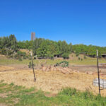 Cospudener See - Wildgehege an der Bistumshöhe