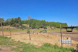 Cospudener See - Wildgehege an der Bistumshöhe