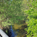 Cospudener See - Floßgraben