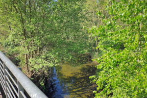 Cospudener See - Floßgraben