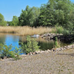 Cospudener See - Flutungsstelle an der Südspitze