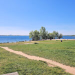 Cospudener See - Nordufer