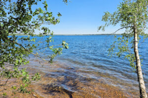 Cospudener See - am Westufer