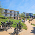 Cospudener See - Hafen Zöbigker (Pier 1)