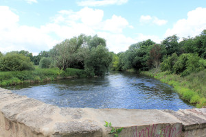 Weiße Elster bei Halle-Beesen