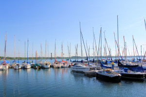 Am Großen Goitzschesee