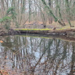 Im Schlosspark Machern