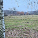 Im Schlosspark Machern