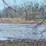 Im Schlosspark Machern