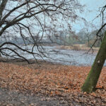 Im Schlosspark Machern