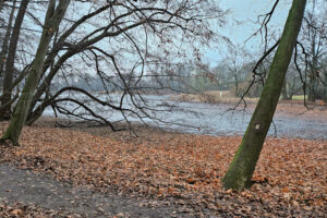 Im Schlosspark Machern