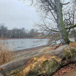 Im Schlosspark Machern