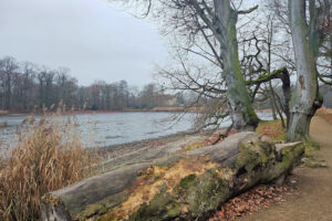 Im Schlosspark Machern