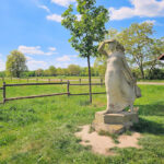 Penelope am Nordufer des Markkleeberger Sees