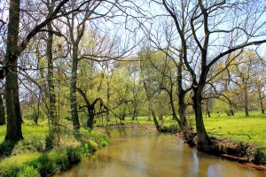 Im Tal der Weißen Elster