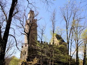 Burg Stein bei Hartenstein