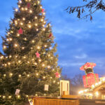 Weihnachtsbaum auf dem Markt in Taucha