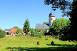 Ev. Pfarrkirche in Wasewitz