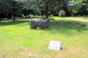 Plastik „Verletzte Natur“ im AGRA-Park in Dölitz-Dösen