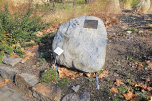 Gedenkstein für Prof. Dr. Gerd K. Müller im Botanischen Garten in Leipzig