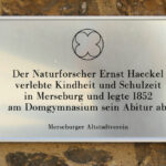 Merseburg, Gedenktafel Ernst Haeckel