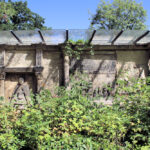 Domfriedhof Naumburg