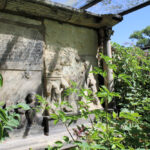 Domfriedhof Naumburg