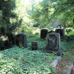 Domfriedhof Naumburg