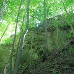 Baderitz, Burg Festenberg, Burgmauer