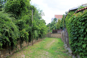 Burg Belgern, ehem. Halsgraben