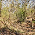 Schwedenschanze Benndorf, östlicher Grabenabschnitt