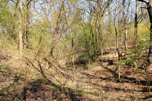 Schwedenschanze Benndorf, östlicher Grabenabschnitt