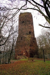 Bornstedt, Schweinsburg