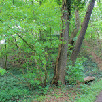 Wasserburg Cavertitz, Burghügel