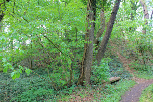 Wasserburg Cavertitz, Burghügel