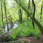 Wasserburg Cavertitz, Wassergraben
