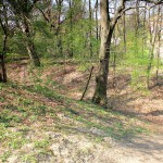 Wallburg Dewitz, nördlicher Wall und Graben