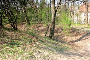 Wallburg Dewitz, nördlicher Wall und Graben