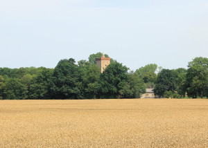 Wasserburg Etzoldshain, Bergfried