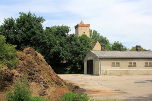 Wasserburg Etzoldshain, Bergfried