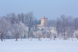 Wasserburg Etzoldshain, Bergfried