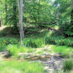 Falkenberg, Wasserburg Pakerschloss, Burghügel