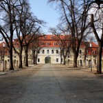 Graditz, Kurfürstliches Gestüt