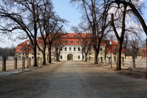 Graditz bei Torgau, Kurfürstliches Gestüt