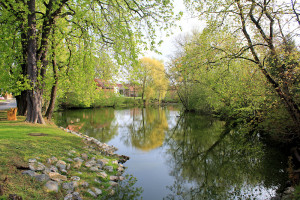 Wasserburg Hainspitz, Graben