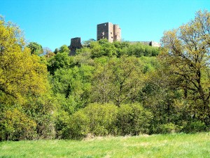 Harkerode, Burg Arnstein