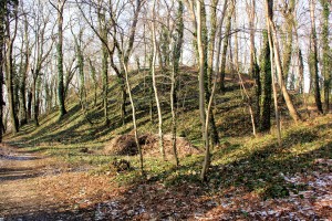 Hohenmölsen, Burg Melsine