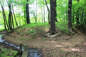 Wasserburg Kleinböhla, Burghügel